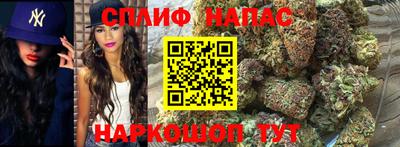 индика Изобильный