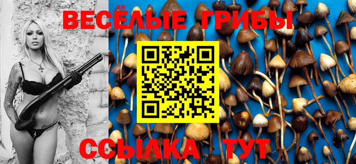 Псилоцибиновые грибы Magic Shrooms Армавир
